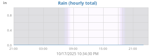 Rain