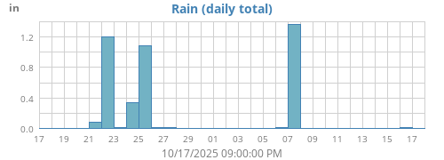 Rain