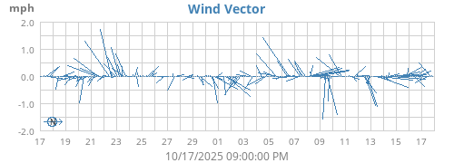 Wind Vector